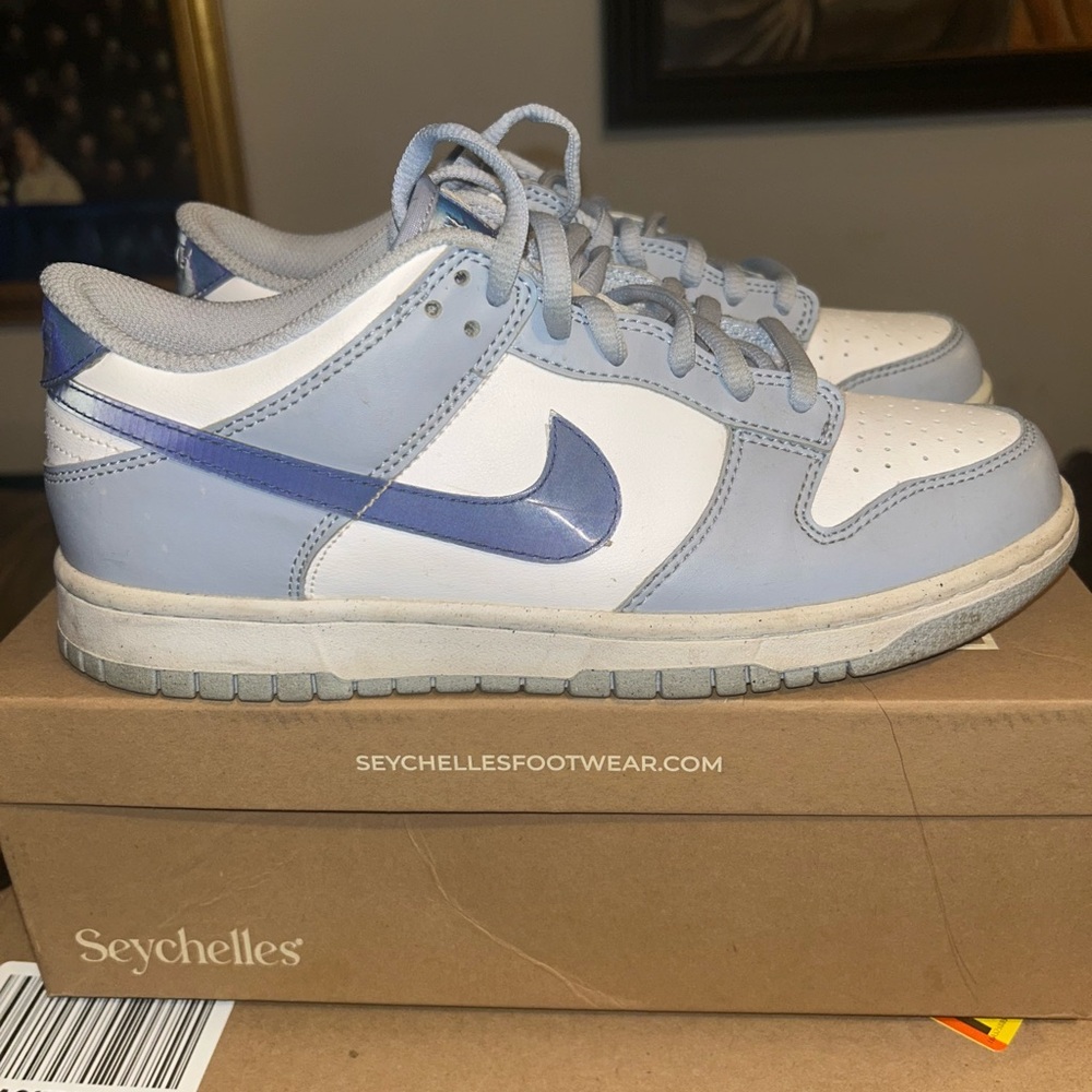 Nike Dunk Sneakers